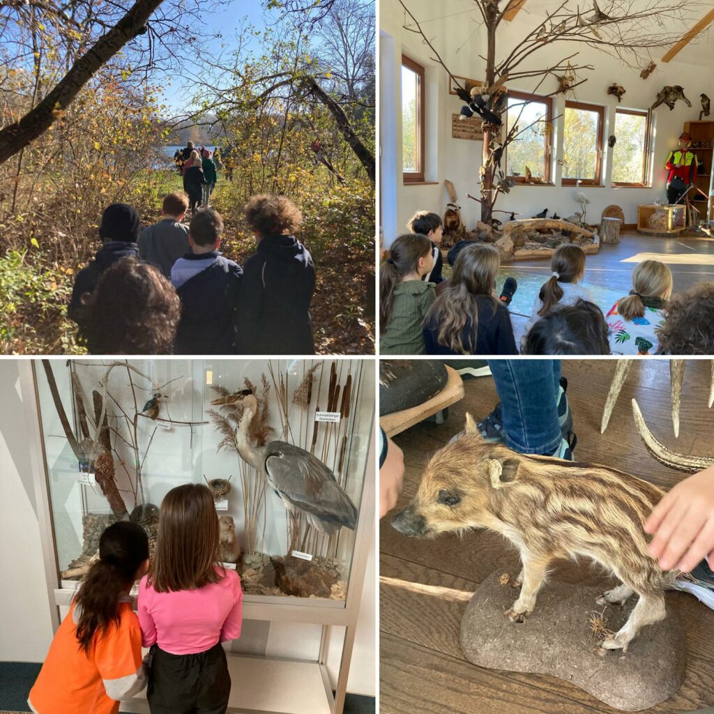 Die 3B in der Waldschule Lobau